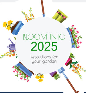 Bloom into 2025 🌻🎉🌸