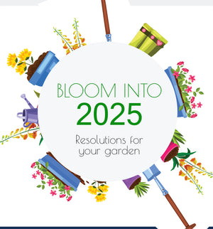 Bloom into 2025 🌻🌸