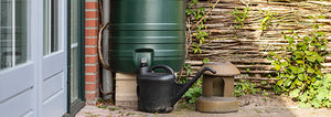 Stop Drinking Rainwater Without Filtration!