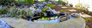 How to Build Your Own Pond