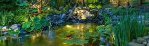 How to: Get the Most From Your Pond Lighting