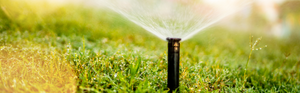 How to: Plan & Install a Popup Sprinkler System