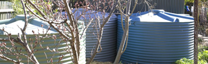 How to: Clean & Filter your Tankwater, Post-Bushfire