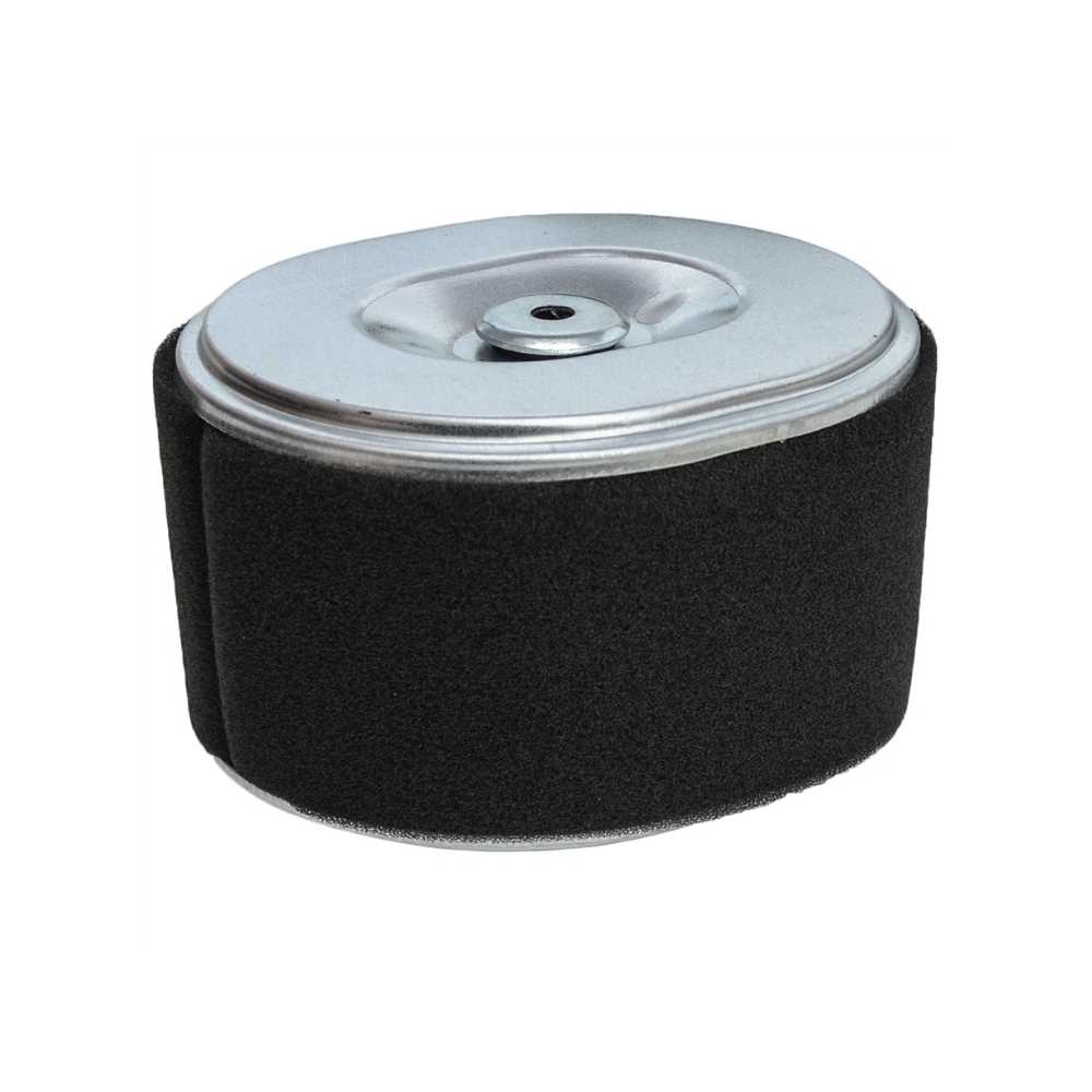 Honda Air Filter GX160 200 Dural Irrigation